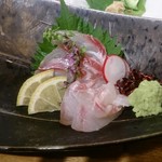 喜多郎寿し - クエ（アラ）の刺身