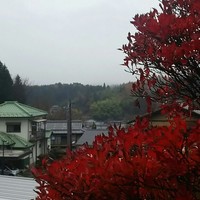 柳家 - 