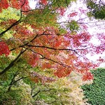 招福樓 - 秋の色