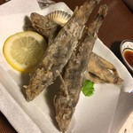 凡蔵 - 
