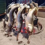 柳家 - 鮎塩焼き