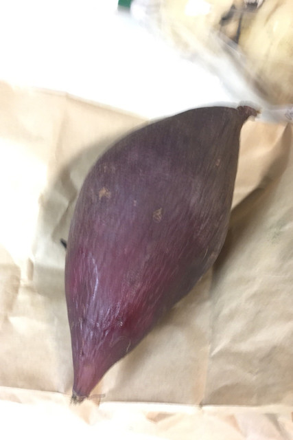 Shumpachiseikaten 五反田 高輪台 便當 食べログ 繁體中文 Shumpachiseikaten 五反田 高輪台 便當 食べログ 繁體中文