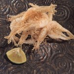 あずき色のマーカス - 