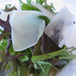 アーリア ディ タクボ - 長野産グリーンリーフのサラダＵＰ（11.4月）