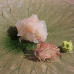 日本料理 みや  - 29年11月　五島伊勢海老