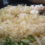 うどん華 - えび天うどんZOOM