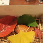 傳 - 29年11月　傳タッキー