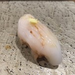 寿司 中川 - 煽り烏賊