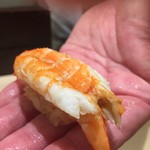 寿司 中川 - 白砂海老