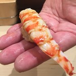 寿司 中川 - 食べ比べの車海老