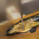 うを徳 - 雲州（いづも）宍道湖（しんじこ）の鰻（むなぎ）