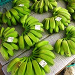 くだもの やさい 果菜 - 