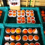 くだもの やさい 果菜 - 