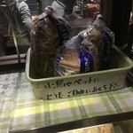 カリーナ - 小動物にどうぞ‼️