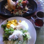 ビスヌ - タンドリーチキン と サモサ。サモサは特に絶品なんです。