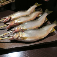 たでの葉 - 天然鮎1
