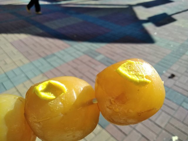 野菜市場 - 貝田（その他）の写真