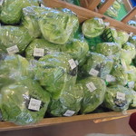 農産物直売所 ぽんぽこ - 青果