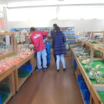 農産物直売所 ぽんぽこ - 青果