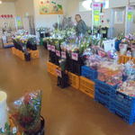 農産物直売所 ぽんぽこ - 花卉