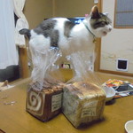 農産物直売所 ぽんぽこ - このパンは旨い