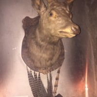 ラ シャッス - 
