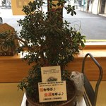 山本おたふく堂 - 