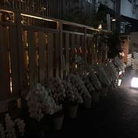 荒木町たつや - 