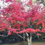 炭屋旅館 - 御苑