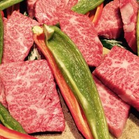 日本焼肉 はせ川 銀座店 - 