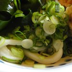 やとう - うどんのアップ　※結構な剛麺です