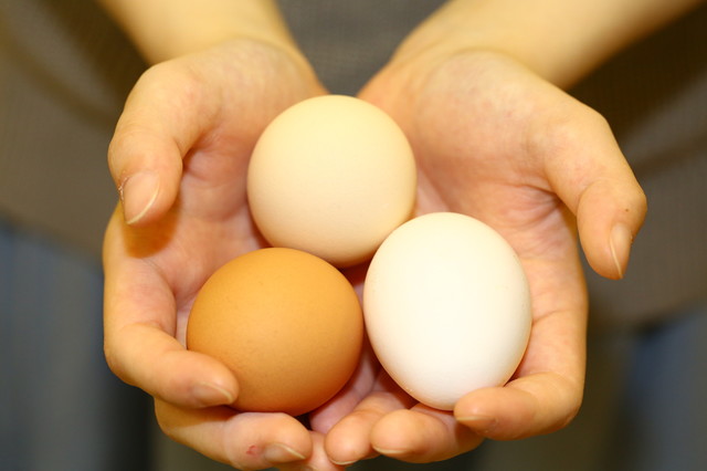 たまごの樹 追分店｜秋田・追分の手作りケーキ専門店 &ndash; 口コミ・メニュー・営業時間