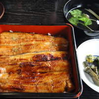 駒形前川 浅草本店 - うな重