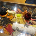 セララバアド - 落葉の森