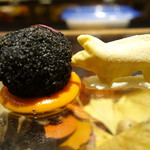 セララバアド - 落葉の森