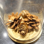 セララバアド - 松ぼっくり