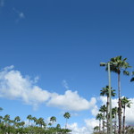 LEONARD'S BAKERY - 空がキレイ