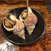 江戸心 山ぼうし - 