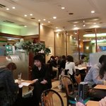 DOUTOR - 