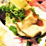 はてなのちゃわん - 