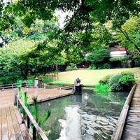 浮月楼 - 