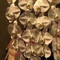 米増 - 