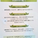 リ リーフ - 衛生管理された水耕野菜工場　2017/11