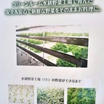 リ リーフ - 安全・安心な水耕栽培の野菜　2017/11