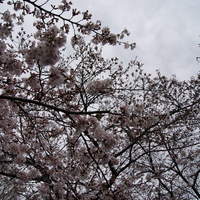 韻松亭 - 