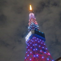 ワカヌイ グリル ダイニング バー 東京 - 東京タワー