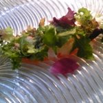 ヒカリヤ ニシ - 冷前菜　信州サーモンとセロリのサラダ　わさびドレッシング