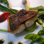 ヒカリヤ ニシ - 本日の魚　ホウボウ