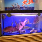 Sakanaya Doujou Uosensuisan - 新鮮な活魚ご用意しております
