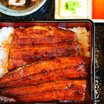 うなぎ 初音 - 美味しそうな大きな鰻が乗ってます^ ^